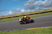 anglesey-no-limits-trackday;anglesey-photographs;anglesey-trackday-photographs;enduro-digital-images;event-digital-images;eventdigitalimages;no-limits-trackdays;peter-wileman-photography;racing-digital-images;trac-mon;trackday-digital-images;trackday-photos;ty-croes